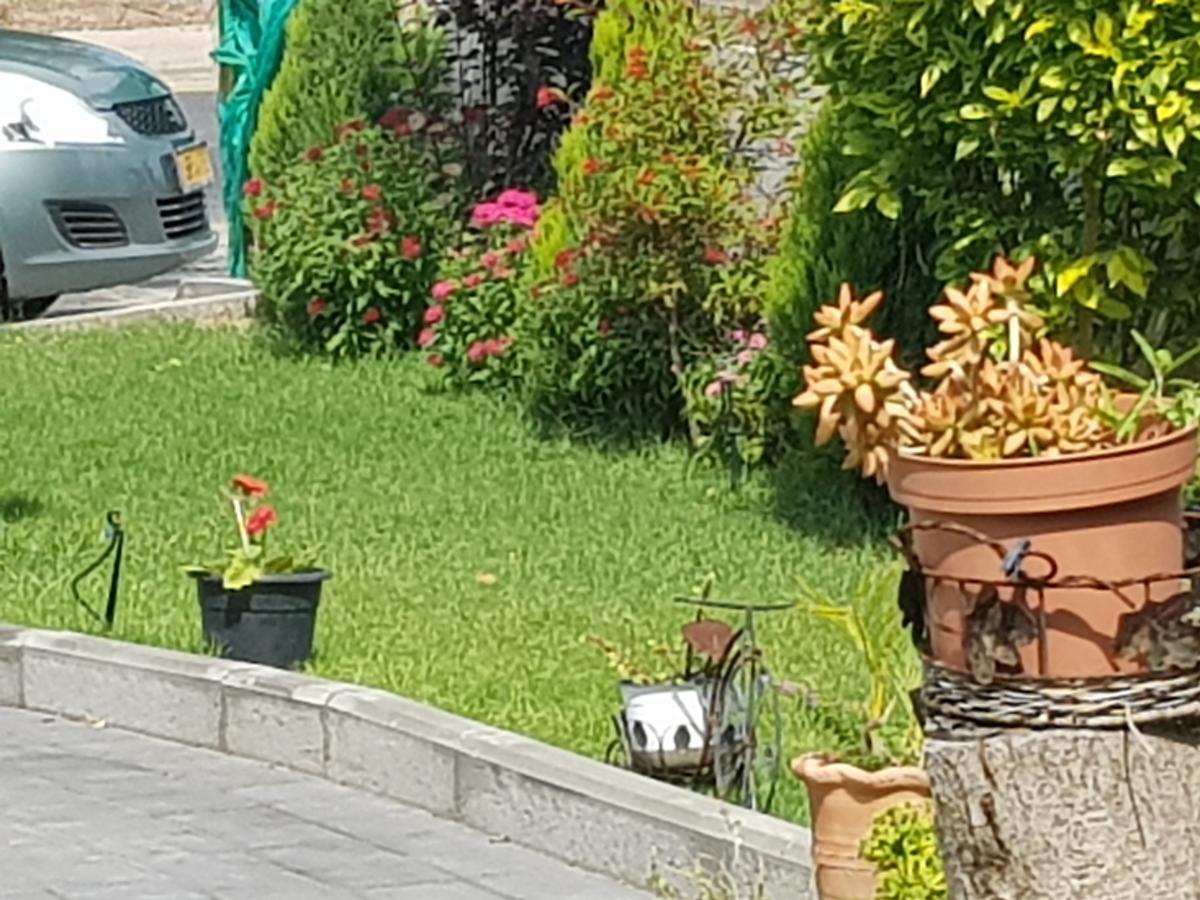A Pastoral B & B Giv'at Ada Ngoại thất bức ảnh